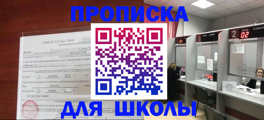 где прописаться в Звенигово