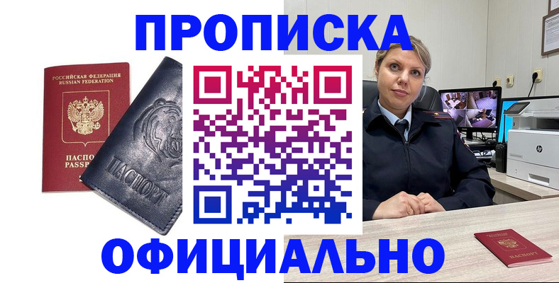 где прописаться в Звенигово
